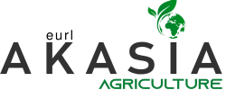 akasia copie